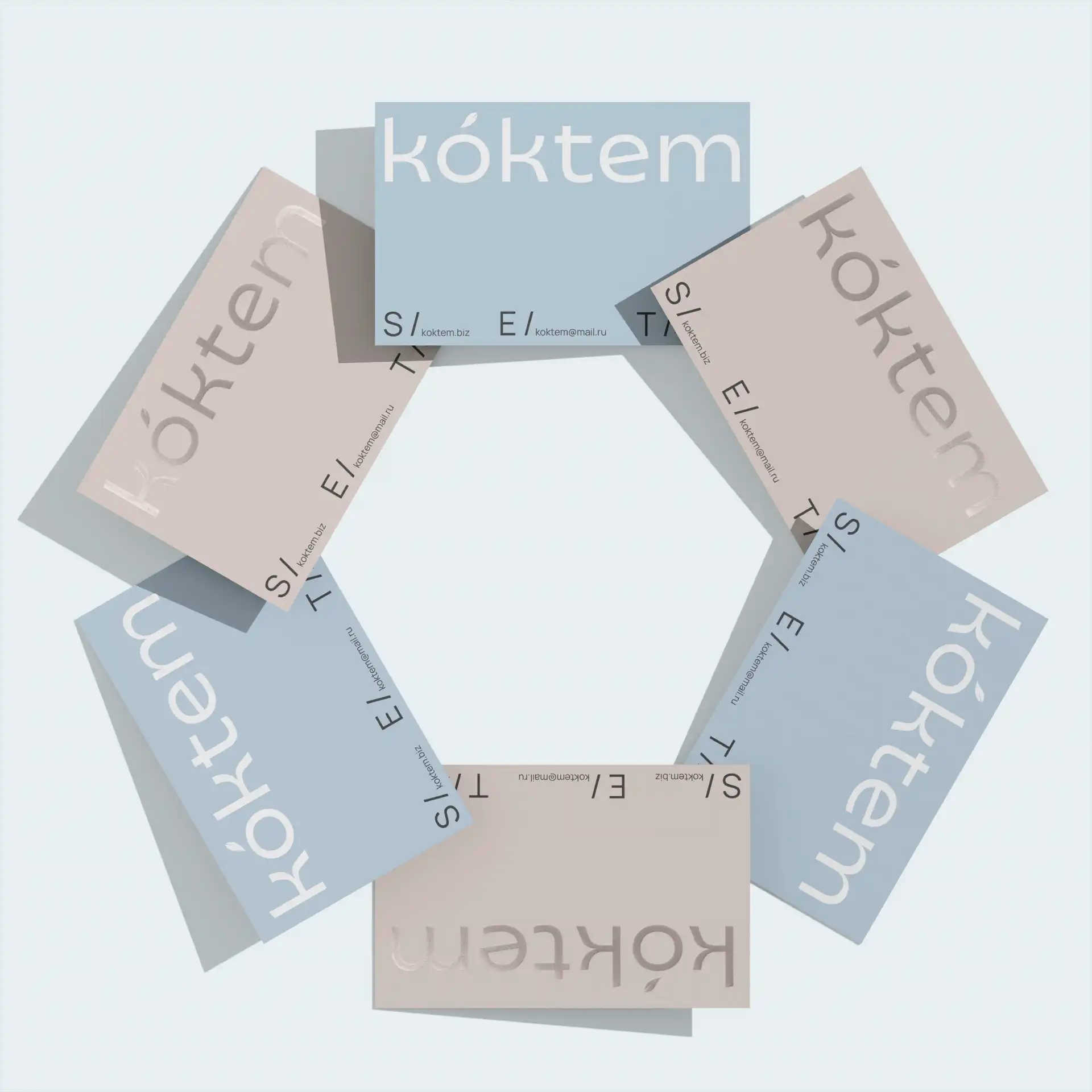 Case Image