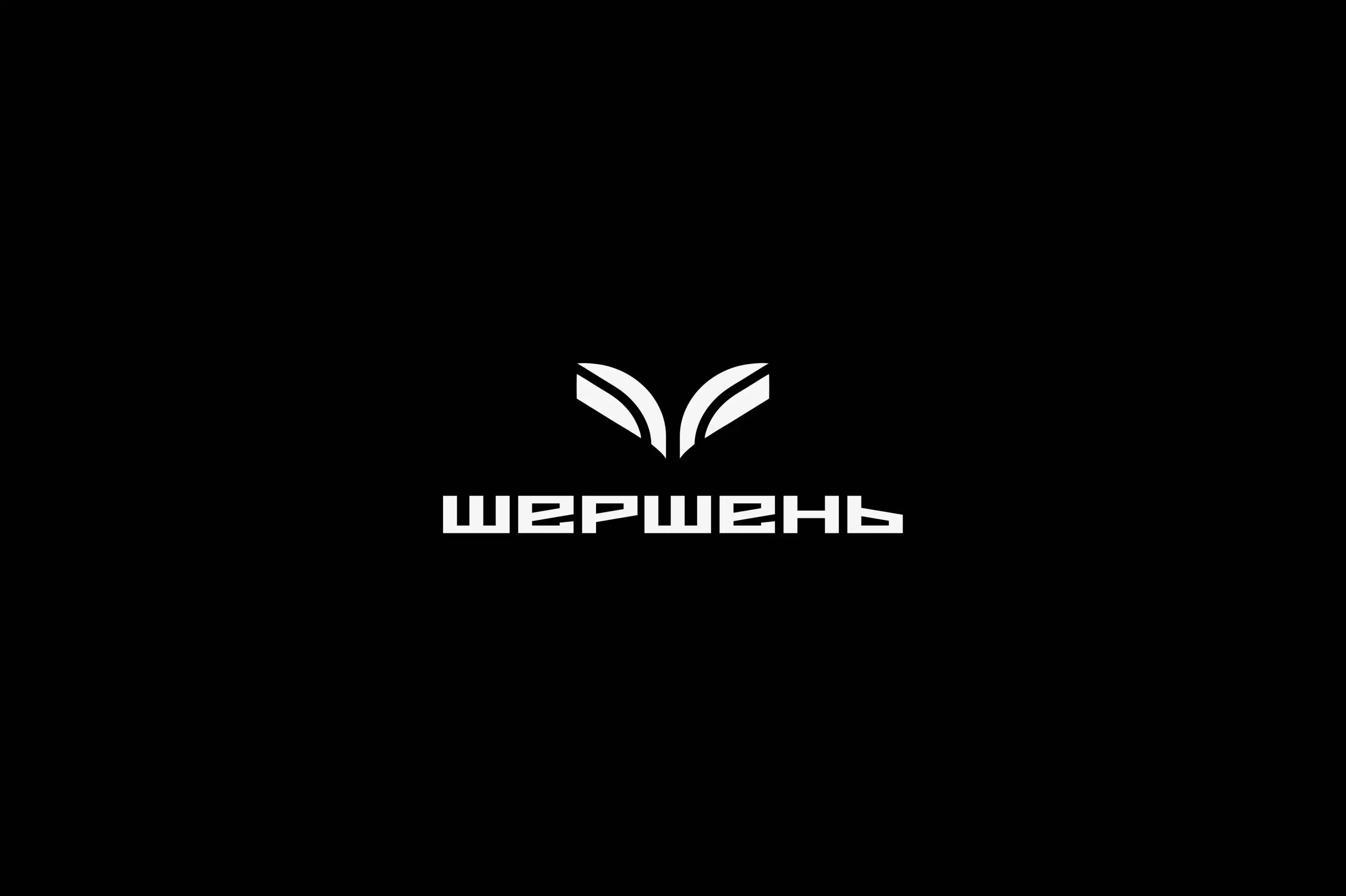 11.webp